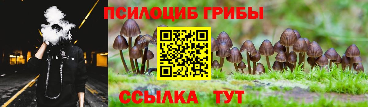 Надым  Псилоцибиновые грибы мухоморы  Вход с VPN  Псилоцибиновые грибы мухоморы 